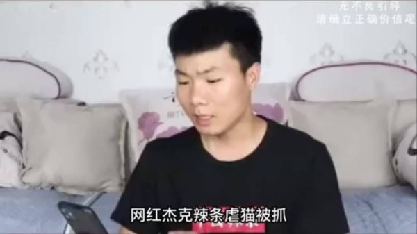 网红杰克辣条虐猫被抓，阜阳好人称号被取消