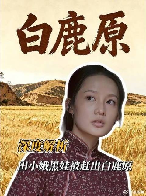 田小娥黑娃回白鹿原，被扒黑料