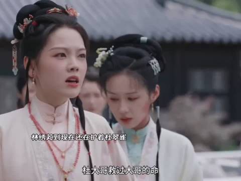林绣芄到现在还在护着杜翠雀，就不应该留她一命！兰香如故