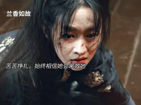 谭松韵 刘学义《兰香如故》