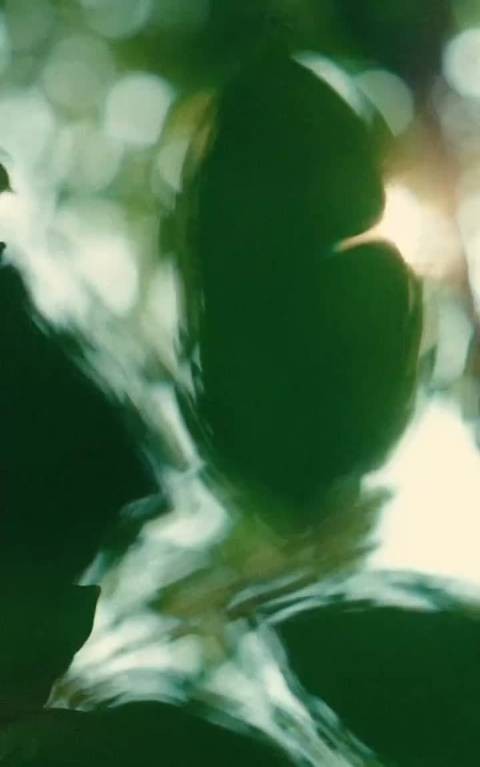 李冰冰近期活动造型各有韵味，优雅浑然天成这气质真的绝了！永远的雍容华贵