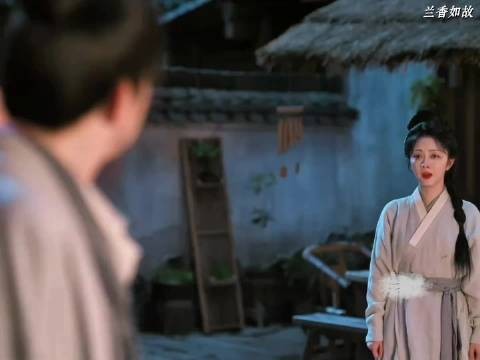 陆先生早就察觉兰香不一般，这番对话明白她就是沈嘉兰 谭松韵