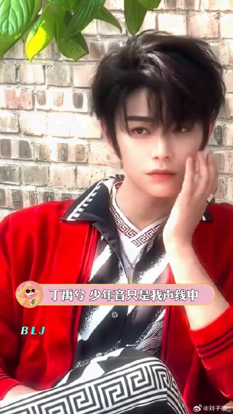 丁禹兮兮你的嗓子里究竟有什么！可塑性强就是任性啊丁禹兮演唱会少年音