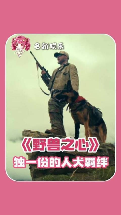 他们既是并肩作战的伙伴，也是生死相托的战友，更是彼此生命中最坚实的倚仗