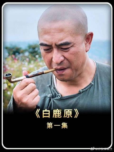 白嘉轩带着村民种大烟发家致富！