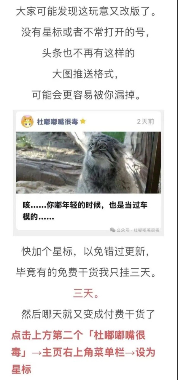 很多人想要的爱情，只是自己想被爱罢了。