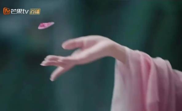 用花瓣下棋也太装杯了