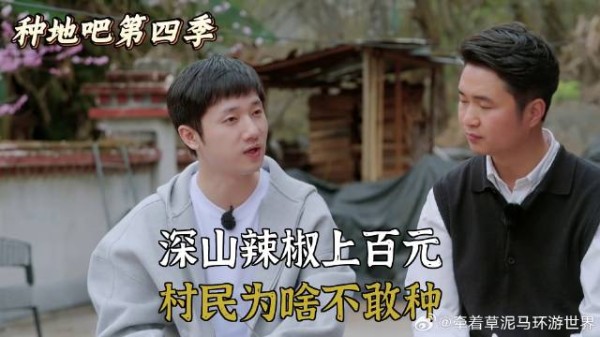 深山辣椒上百元,村民为啥不敢种