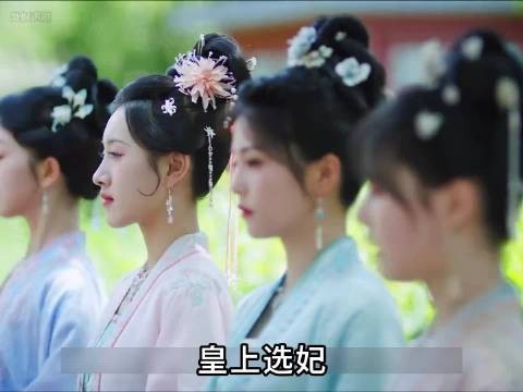 重生女孩想尽办法远离皇宫 而所有人都在助她入选! 白鹿