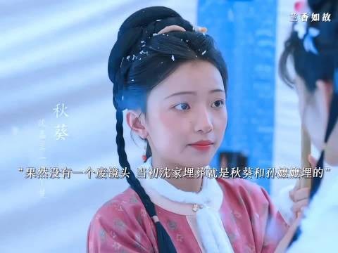 秋葵崔嬷嬷埋葬沈家人，崔嬷嬷去世，林锦岐助秋葵改名嫁村庄