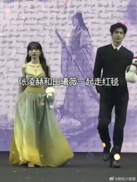 张凌赫田曦薇一起走红毯