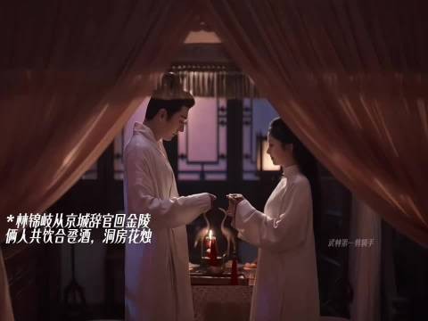 林锦岐辞官，四小姐要嫁人，三小姐要和离