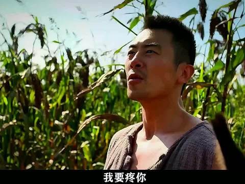 按照九儿刚毅的性格如果不喜欢对方的话，被那个她能把对方杀了！ 红高粱 周迅