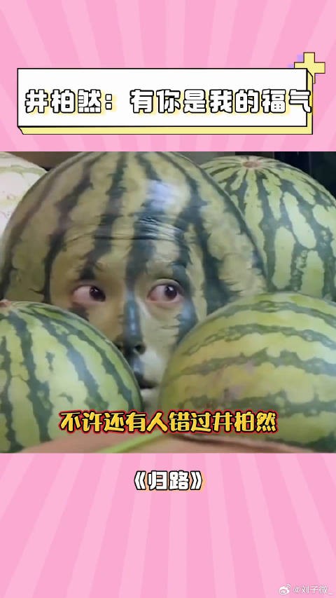 井柏然 杨紫 微博VC计划