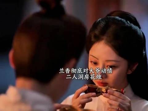 兰香知林锦岐冒死安葬家人，终与其圆房成婚