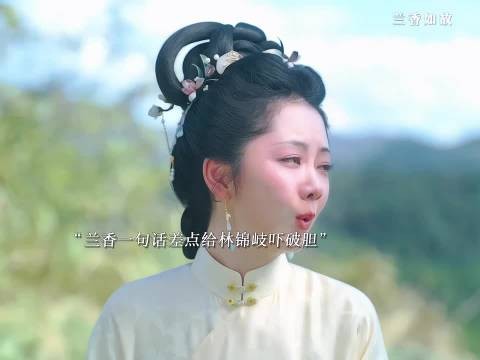 兰香的一句话差点给林锦岐吓鼠了 兰香如故