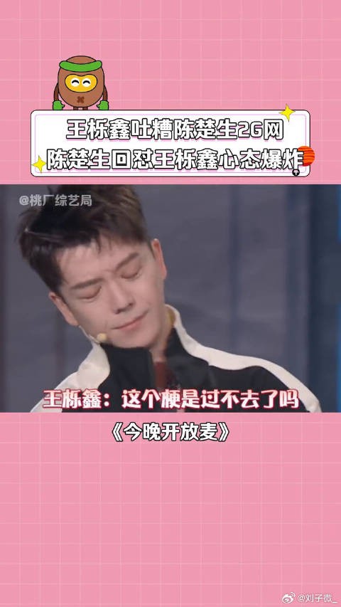 王栎鑫 微博VC计划