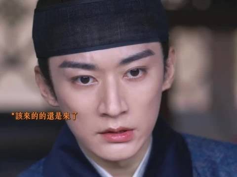 不愧是大学士家的嫡女啊，一语道中其中的危机，林锦歧吓得不轻