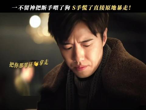 张哲华余红旧事上演人撵狗名场面