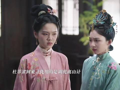 杜翠雀设局杀袁绍辉，兰香灯油局守林府