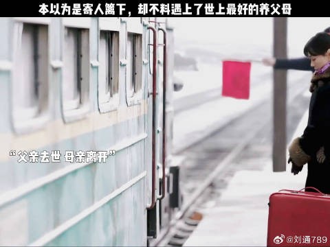 本以为是寄人篱下，却不料遇上了世上最好的养父母 父辈的荣耀 张晚意 刘琳