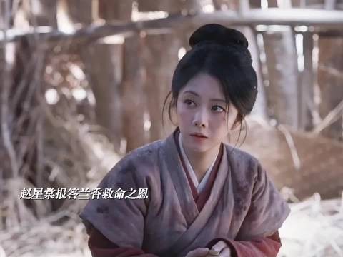 赵星棠重伤强撑,与兰香相见恨晚