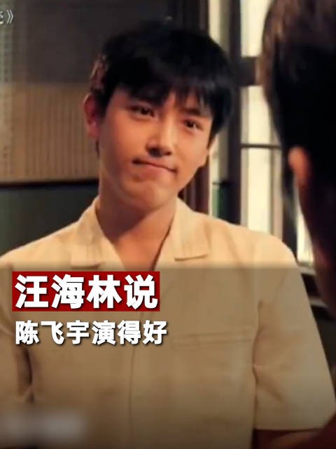 汪海林说陈飞宇演得好