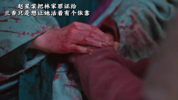 许兰香选择烧毁林锦岐放走废太子的证据, 林锦岐看着这一幕感激不已