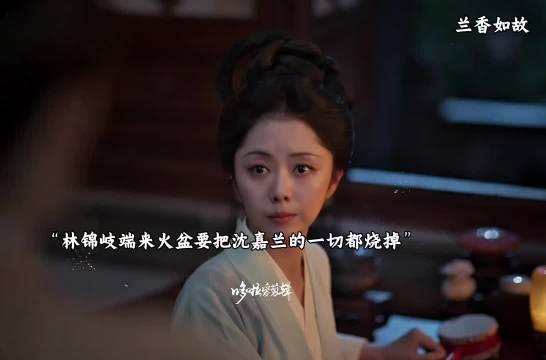 林锦岐一把火烧掉所有物证，保全许兰香的真实身份…
