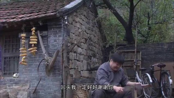 媒婆给哑巴儿子介绍媳妇，一看竟是个大妈，好看了