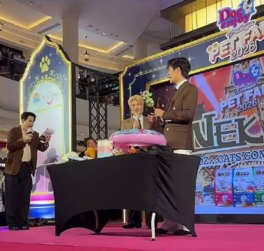 我真的要笑傻了，怎么会这么好笑
