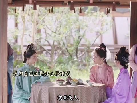 袁老夫人到亖也没看到孙子！二妹妹三十五岁了也没嫁人 兰香如故