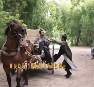 二妹妹不愧是兰香如故最好命女 被绑途中用一个饭团成功出逃