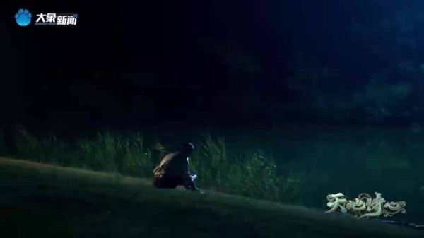 个人偏好与仙鹤塑的关联，偏爱鹤望兰选择