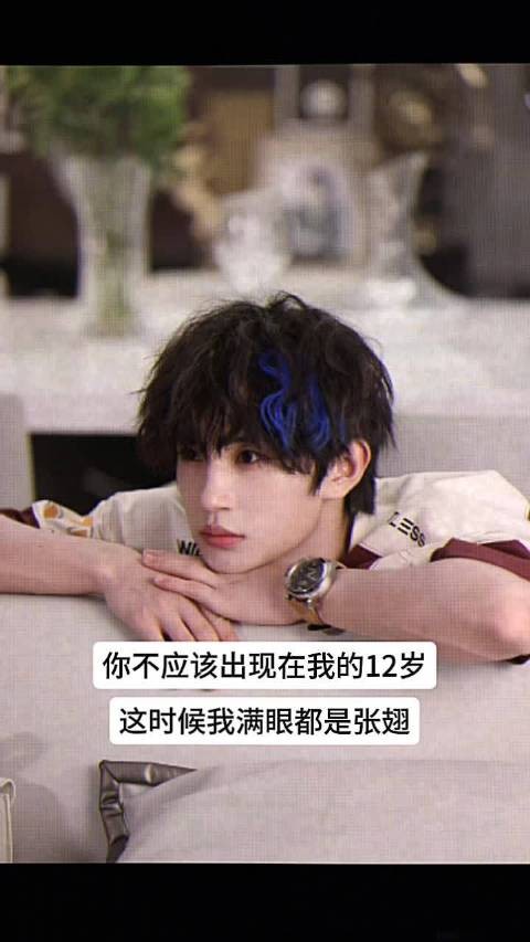 张翅@Littlechenoo