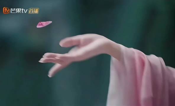 “用花瓣下棋也太装杯了… ”