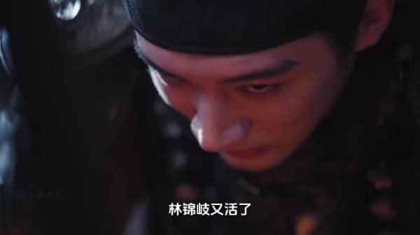 兰香如故：林锦岐以命相搏，阻止汉王谋反