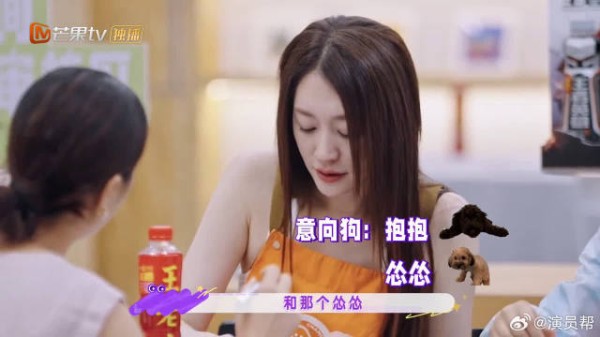 使出浑身解数帮毛孩子找归宿，孙怡和周翊然这份温柔太戳人了