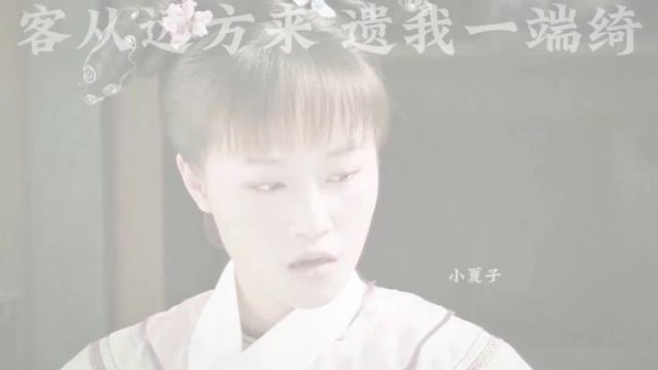 胖橘送甄嬛蜀锦玉鞋 只是这蜀锦到底是谁送的 背后大有深意