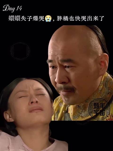 嬛嬛失子爆哭,胖橘也忍不住要流泪了