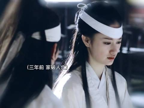 你连看都不敢看，又怎么能明白她被一针一针刺上花时的屈辱