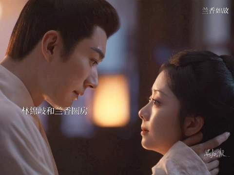 兰香怀孕 和林锦岐一起回了金陵
