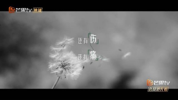 大家还记得当时讨论度很高的综艺再见朋友吗?