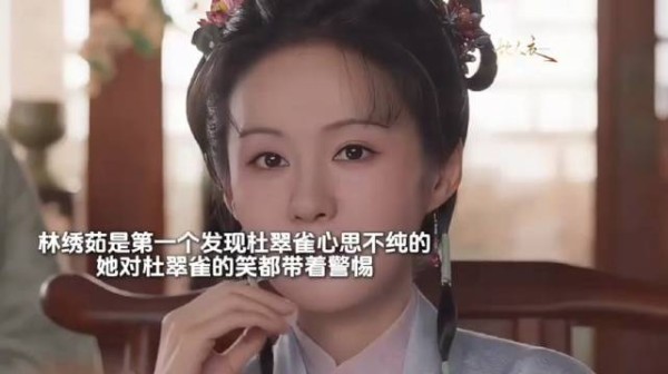 直到杜家兄妹差点毁了林家，林锦齐才意识让他们进府是引狼入室