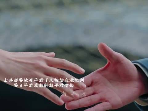 紫萱激怒士兵要杀平君，虞昶轩保护平君受伤