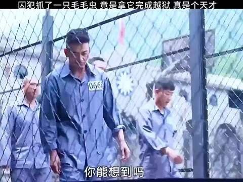 囚犯抓了一只毛毛虫 竟是拿它完成越狱 真是个天才