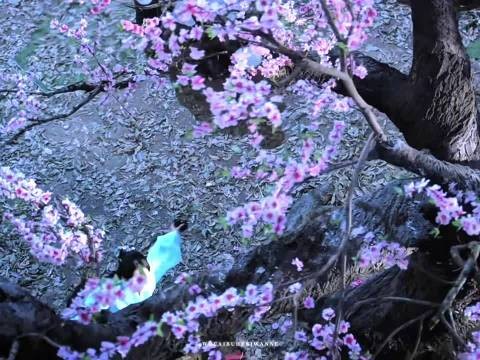 杨幂三生三世风吹发丝BGM切入淡淡告辞封神