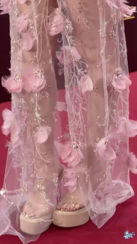 言之凿凿的美丽！