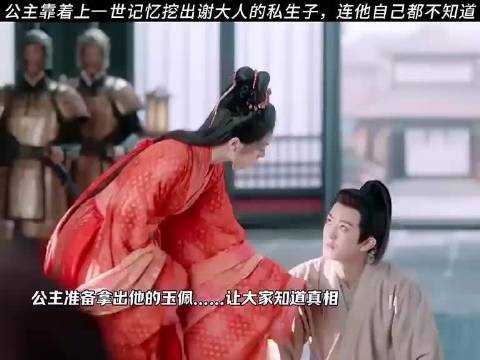 公主挖出谢大人的私生子，连他自己都不知道 度华年