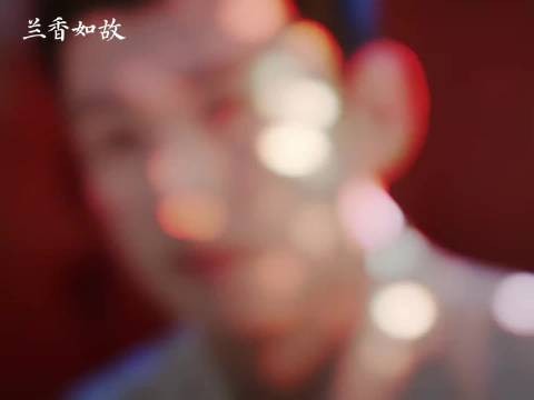 林锦岐离世许兰香独自抚育孩子终老